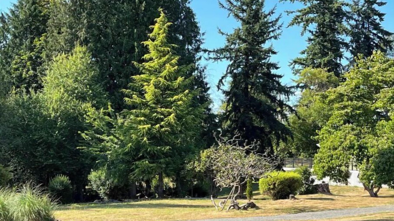 Photo of Outdoor in Marysville