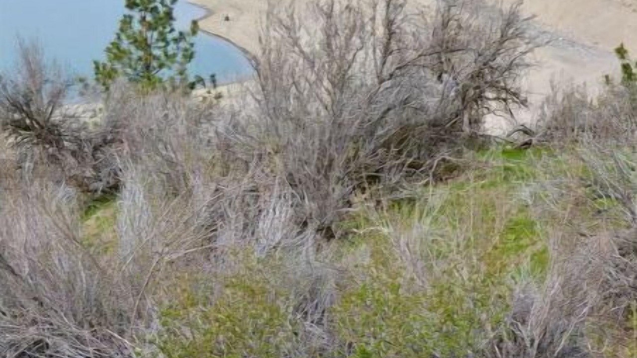 Photo of Outdoor in Davenport