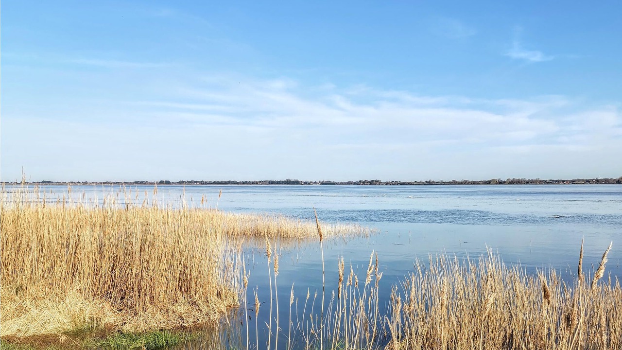 Photo of Others in Creances