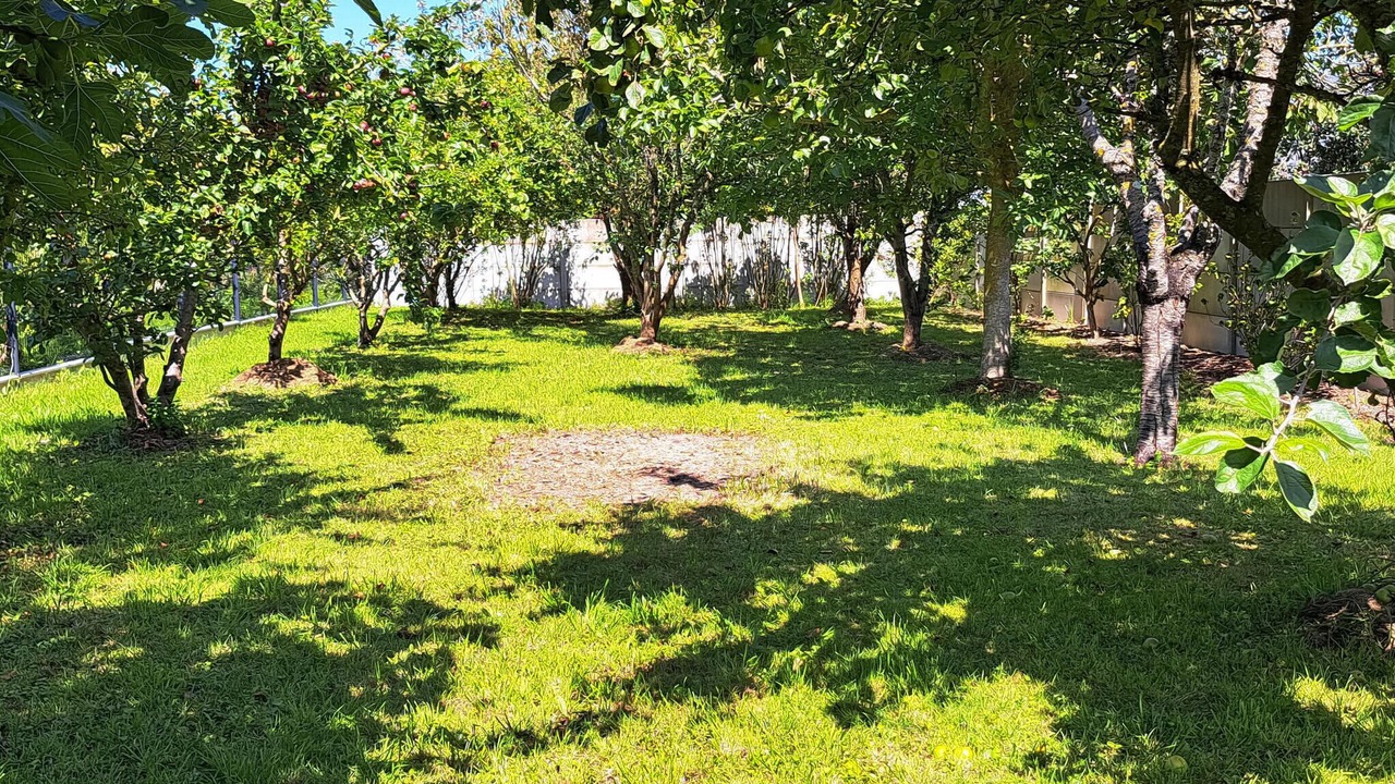 Photo of Others in Creances