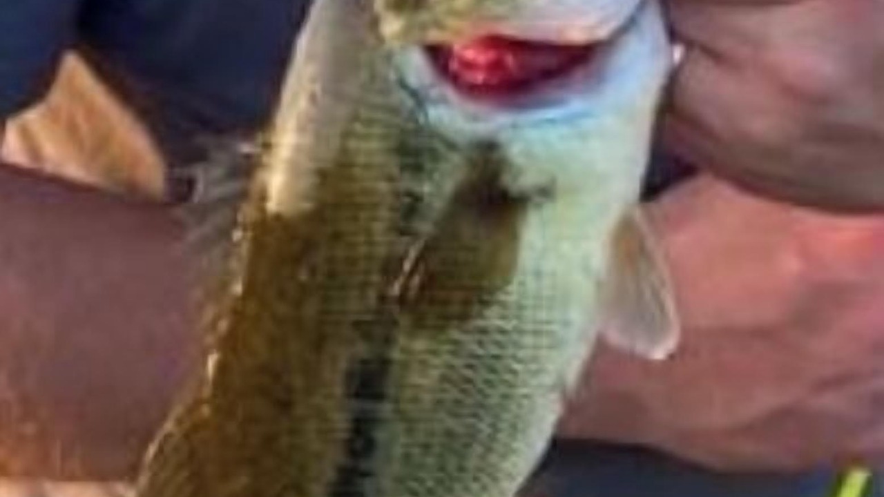 Photo of Others in Riesel