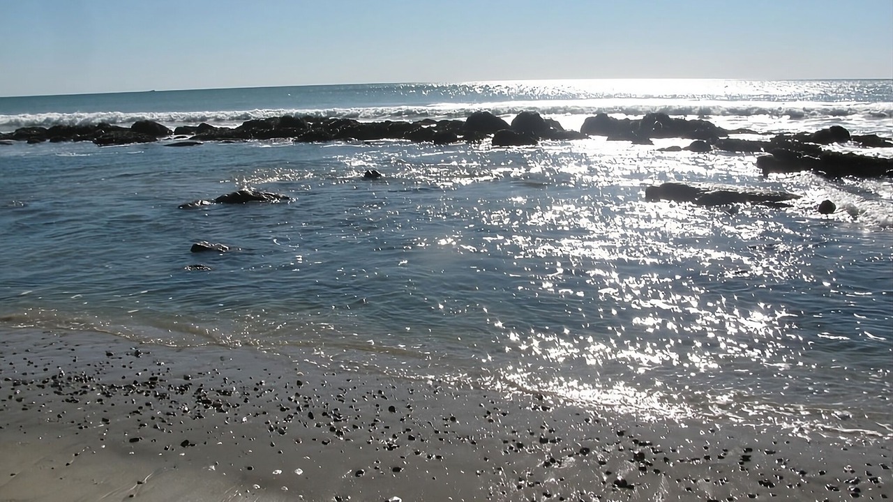 Photo of Others in San Clemente