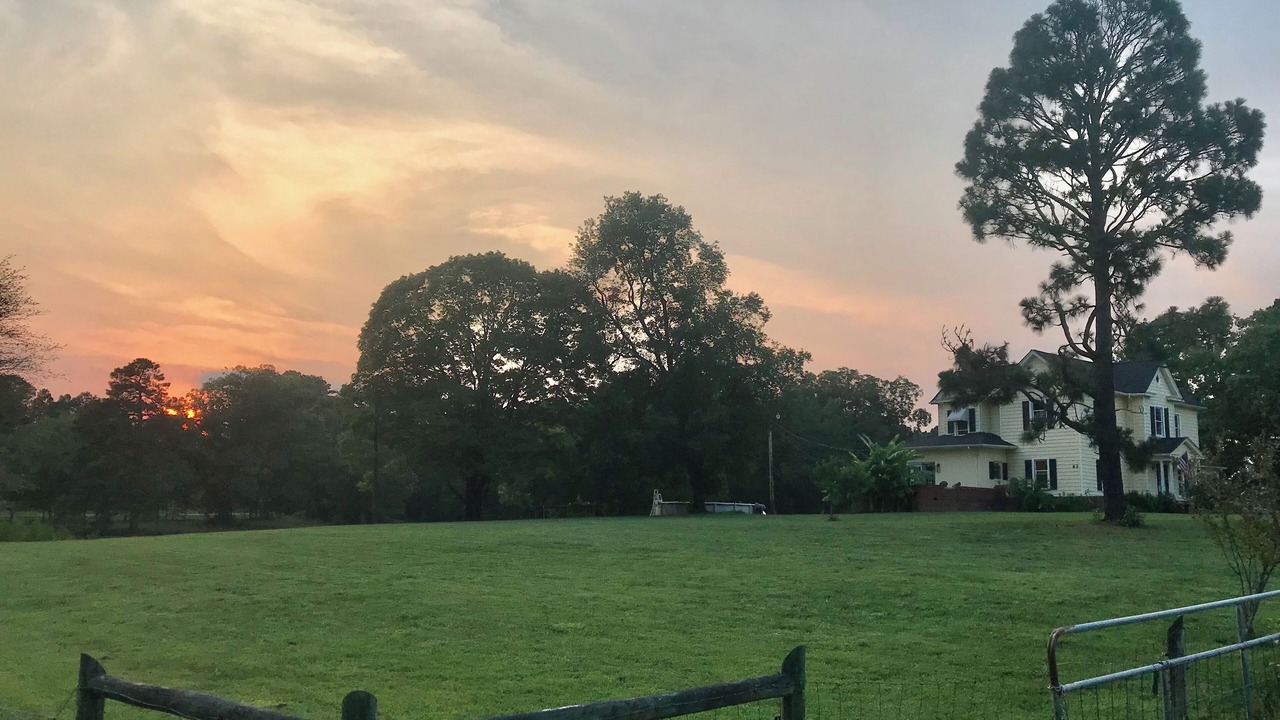 Photo of Outdoor in Louisburg