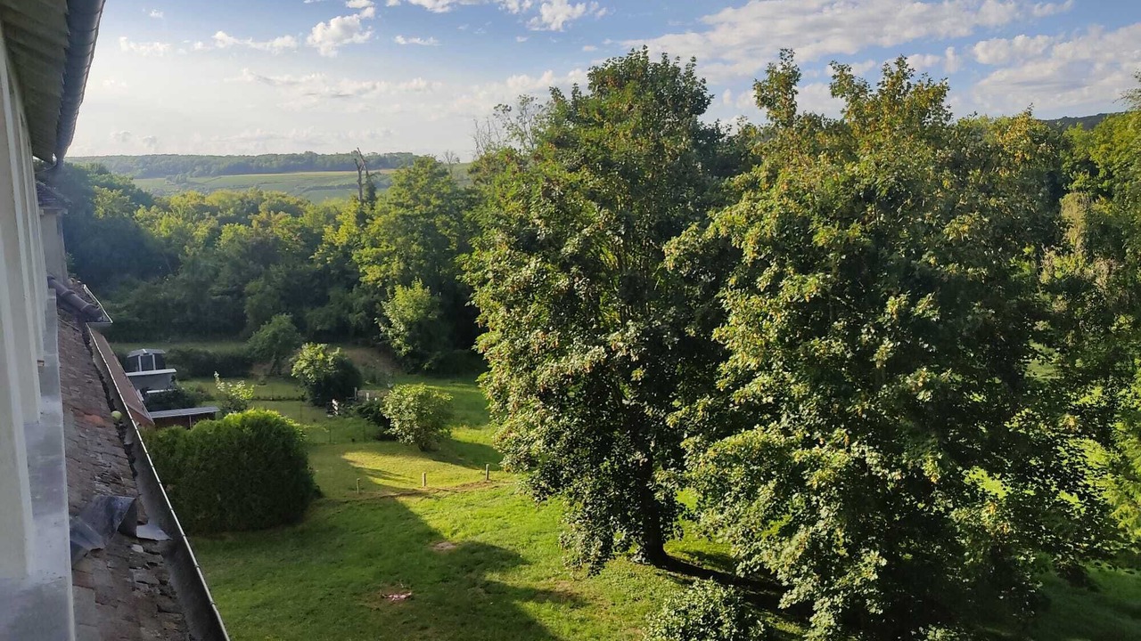 Photo of Outdoor in Citry