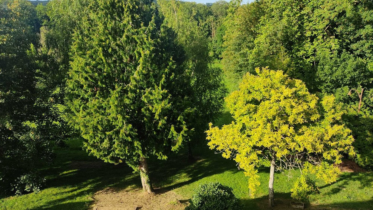 Photo of Outdoor in Citry