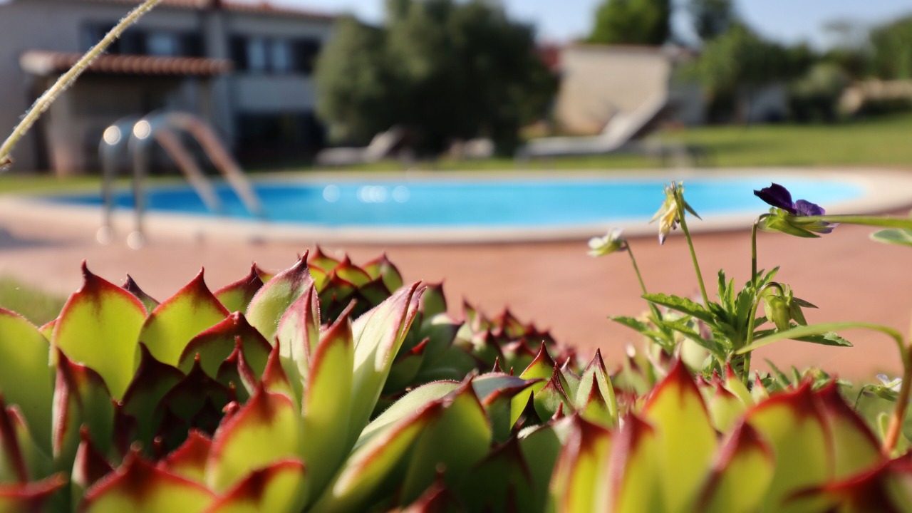 Photo of Outdoor in Muntic