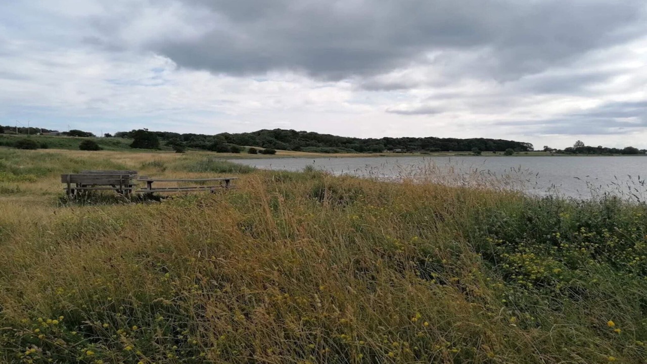 Photo of Others in Vibæk Strand