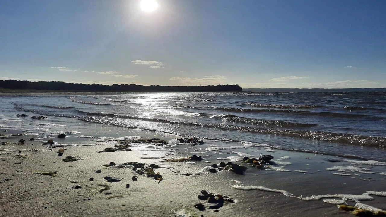 Photo of Others in Vibæk Strand