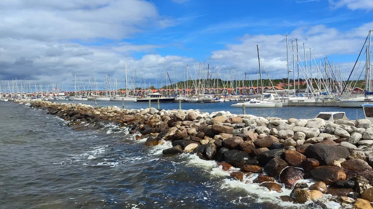 Photo of Others in Vibæk Strand