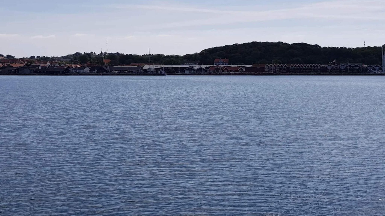 Photo of Others in Vibæk Strand