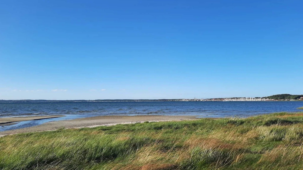 Photo of Others in Vibæk Strand