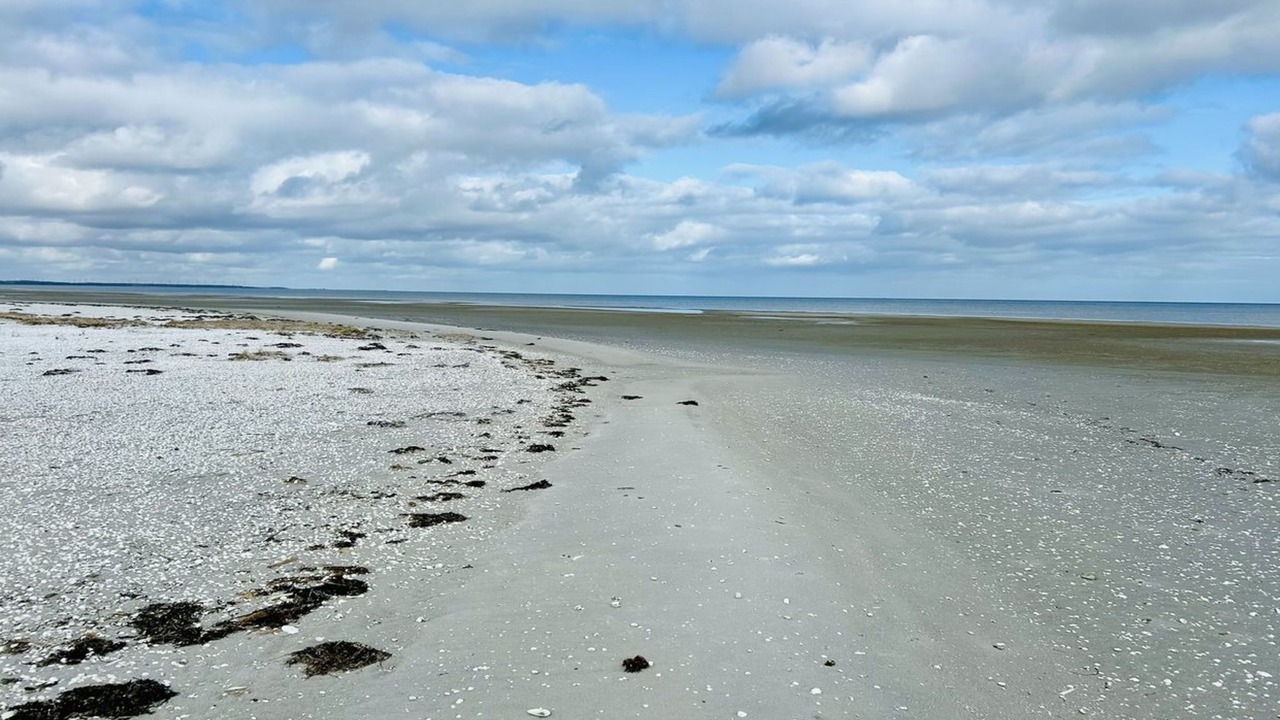 Photo of Outdoor in Ørsted
