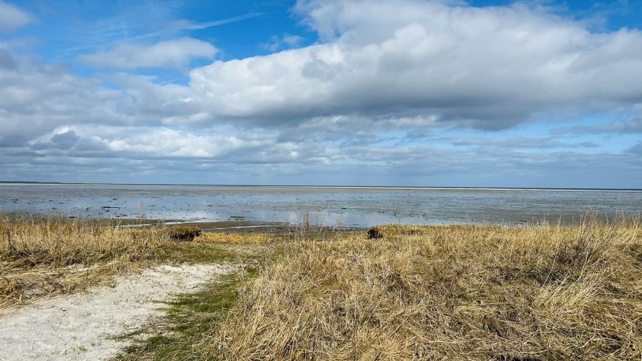 Photo of Outdoor in Ørsted