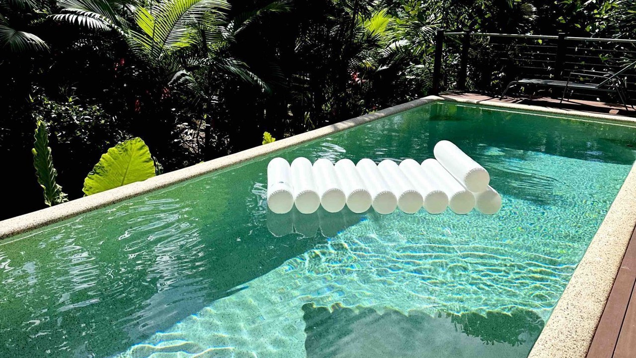 Photo of Outdoor in Mossman