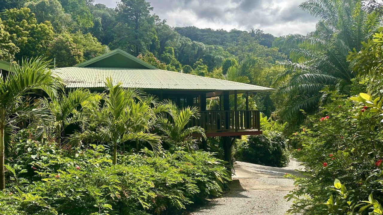 Photo of Outdoor in Mossman