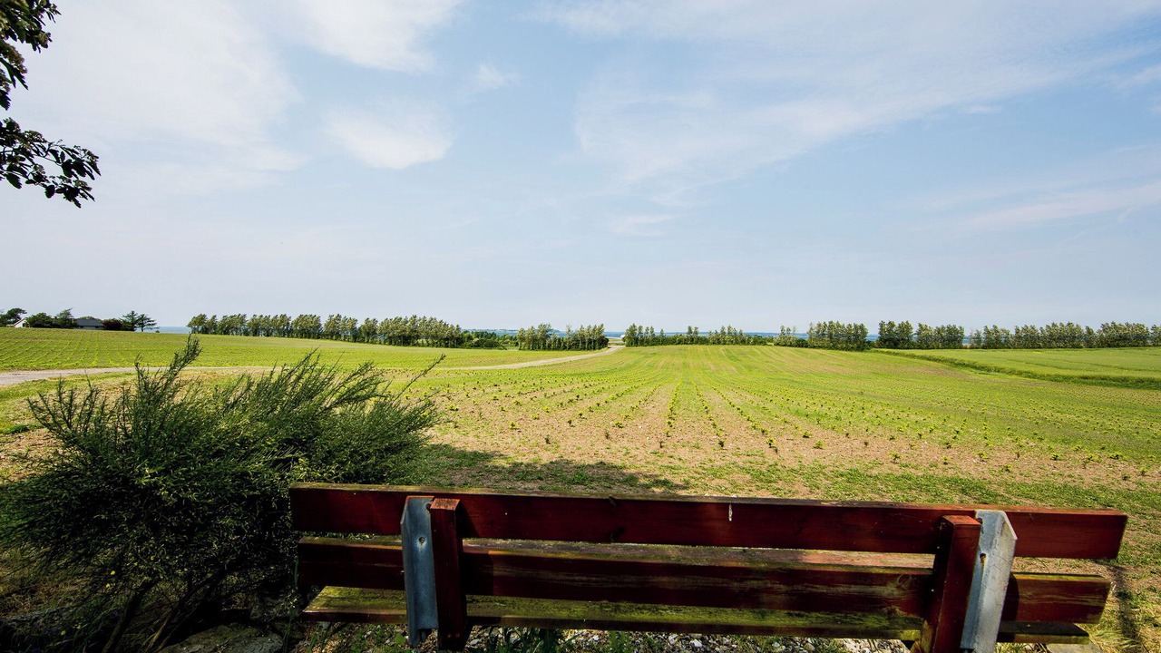 Photo of Others in Bøjden