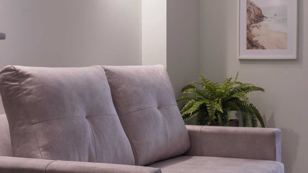 Photo of Livingroom in Montolivet