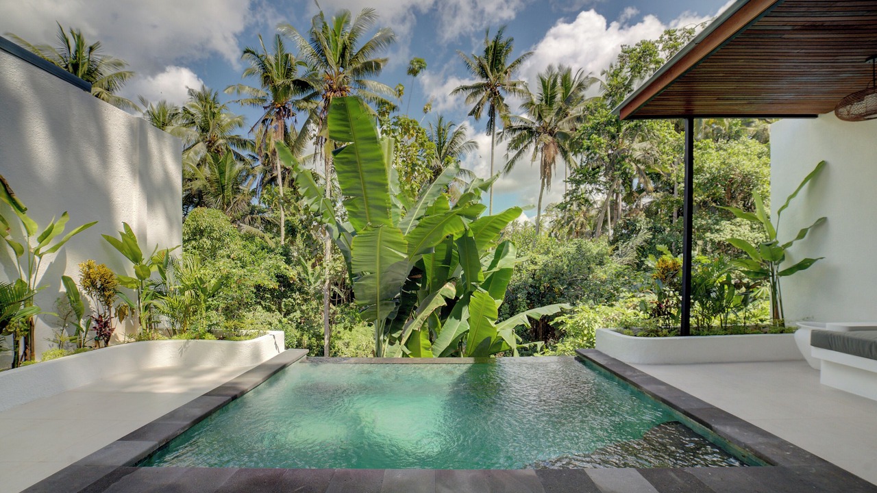 Photo of Outdoor in Peliatan