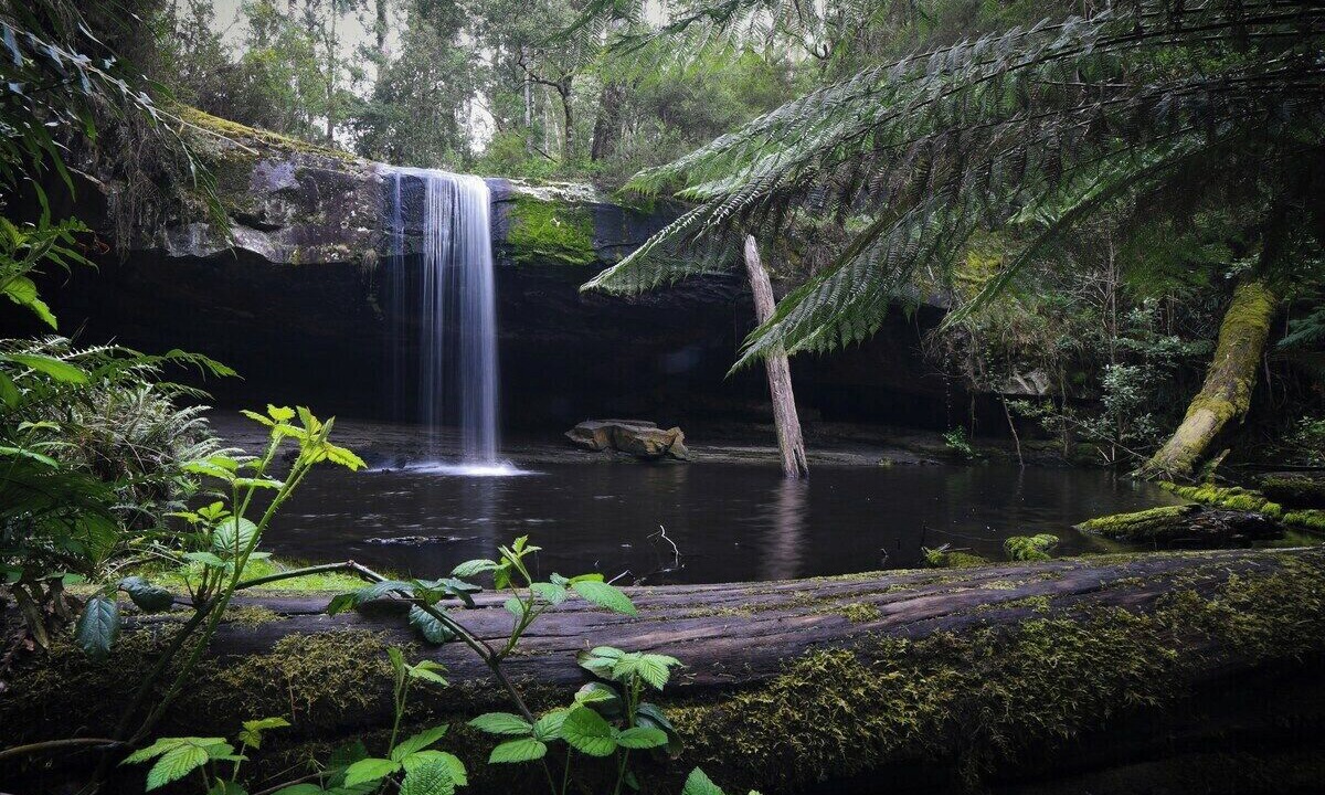 Photo of Others in Torquay