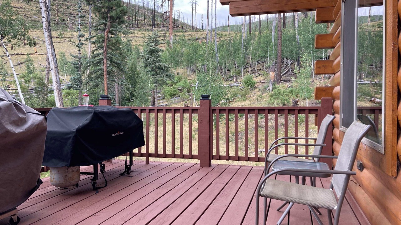 Photo of Patio Balcony in Greer