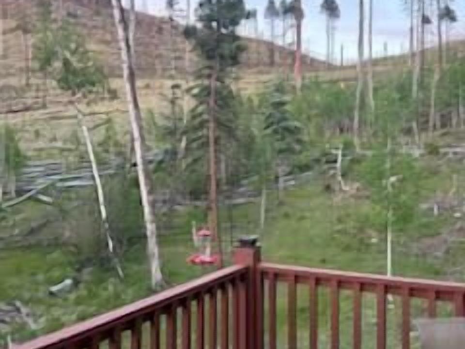 Photo of Outdoor in Greer