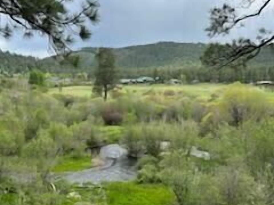 Photo of Outdoor in Greer