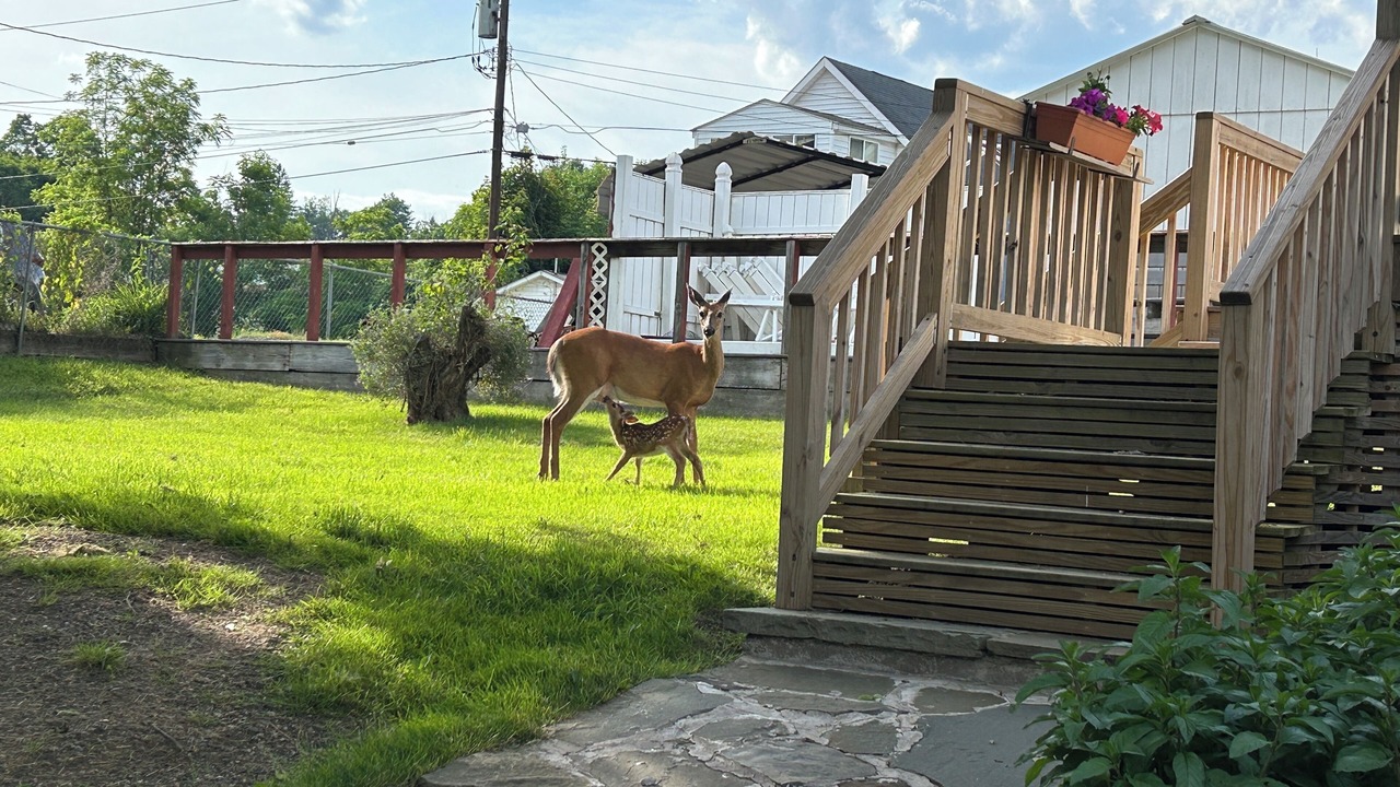 Photo of Outdoor in Hancock