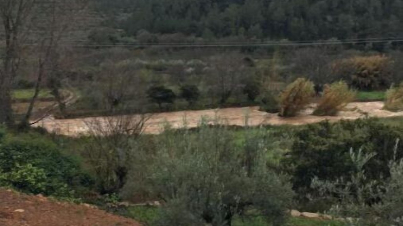 Photo of Others in Algimia de Almonacid