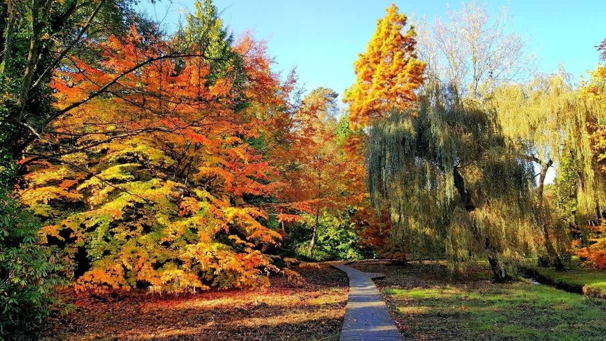 Photo of Others in West Cliff