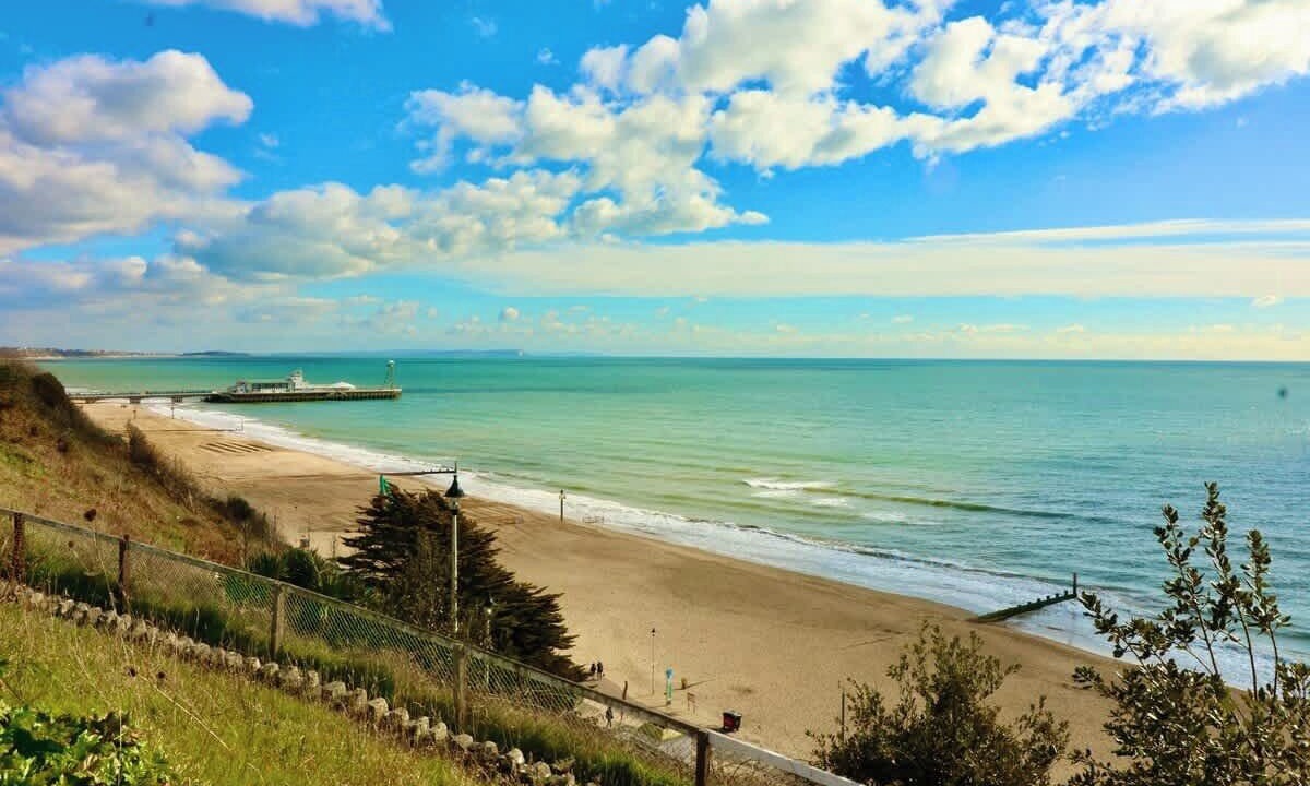 Photo of Others in West Cliff