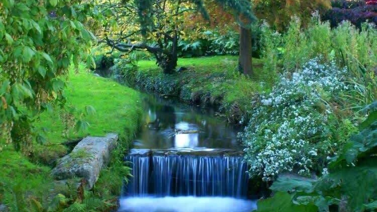 Photo of Others in Bournemouth City Centre