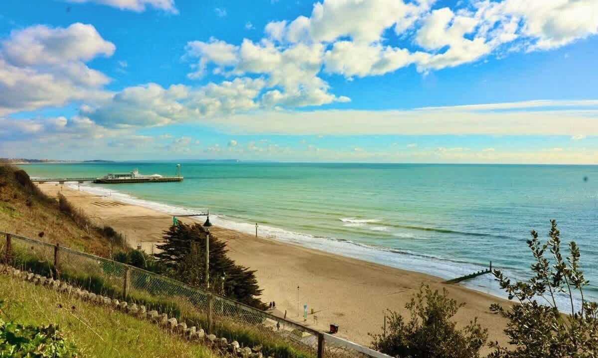 Photo of Others in West Cliff