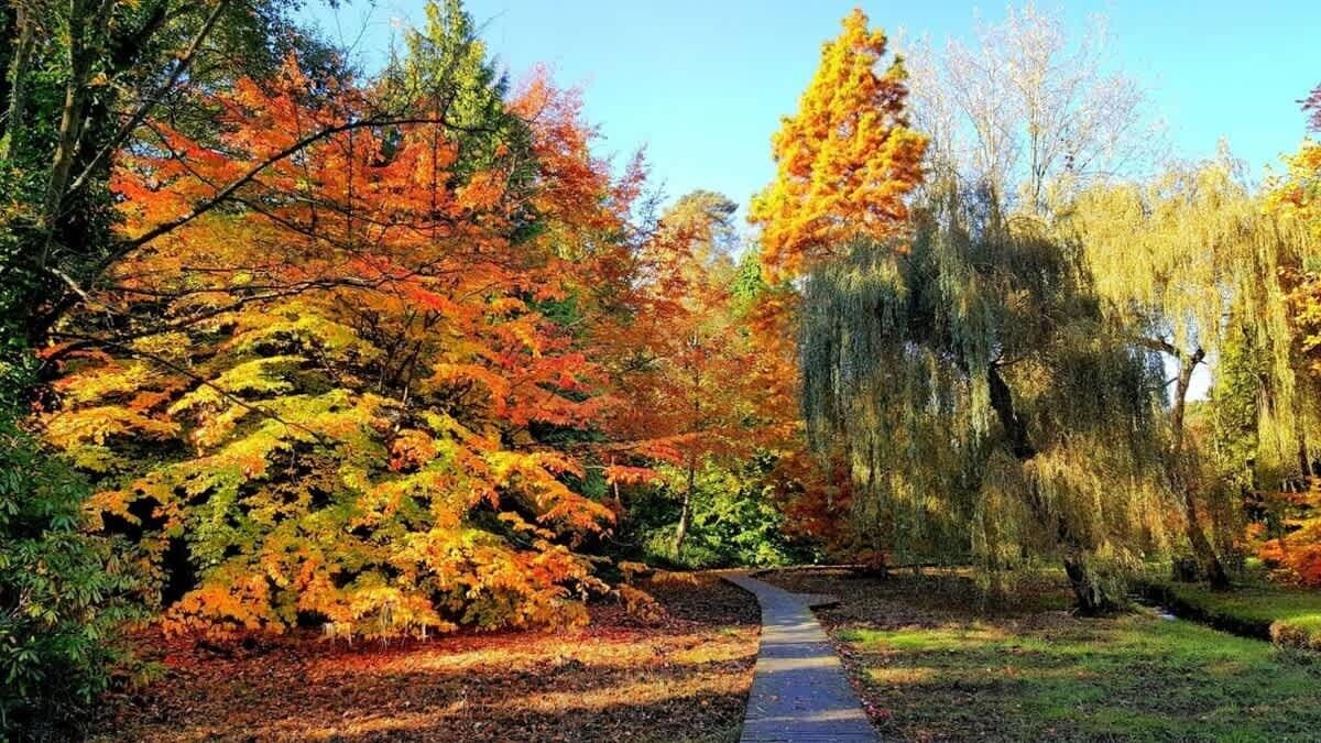 Photo of Others in West Cliff