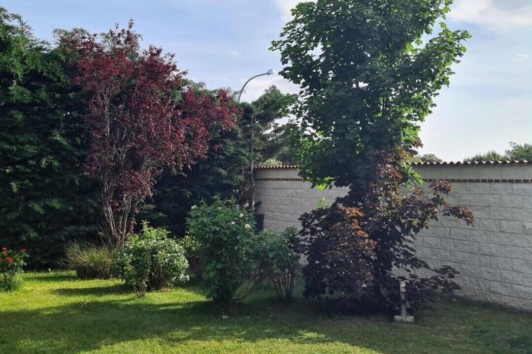 Photo of Outdoor in Maello