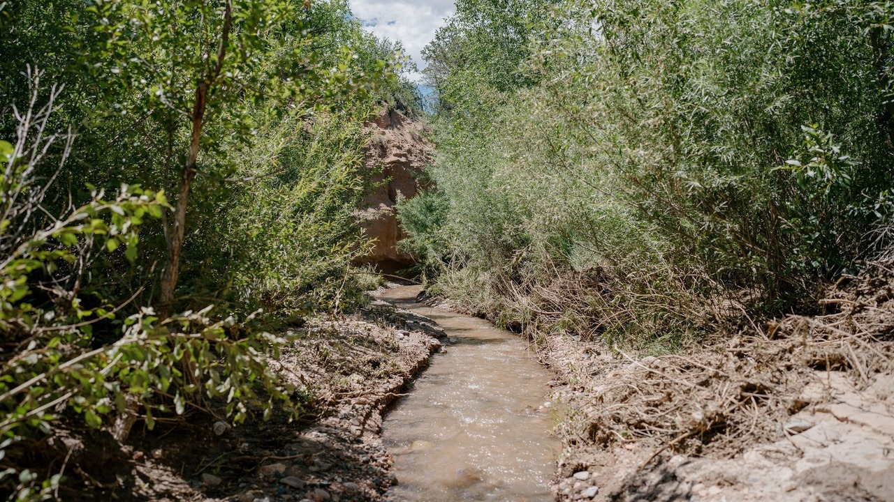 Photo of Outdoor in Tesuque