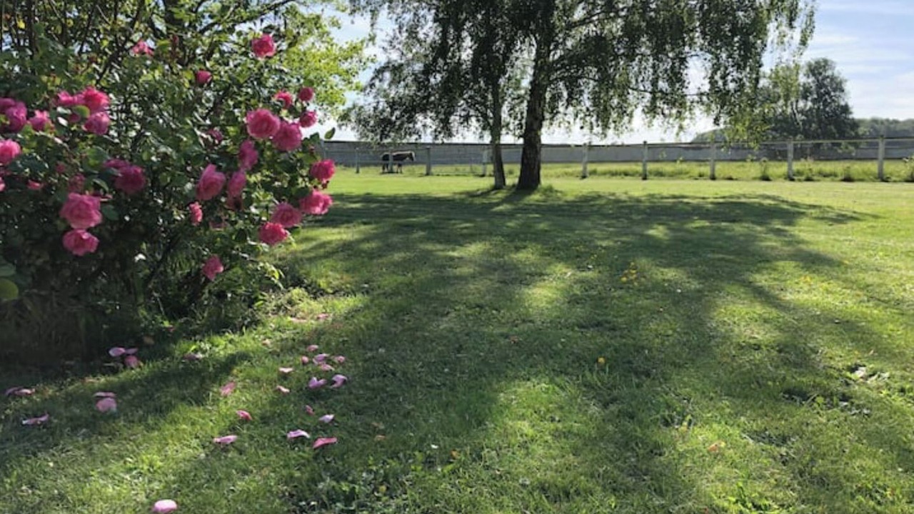 Photo of Outdoor in Saint-Manvieu-Norrey