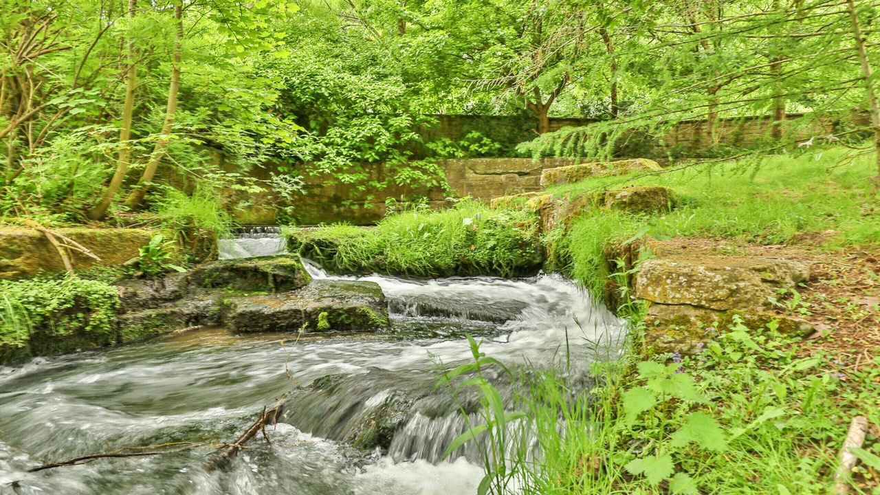 Photo of Others in Thornton Dale