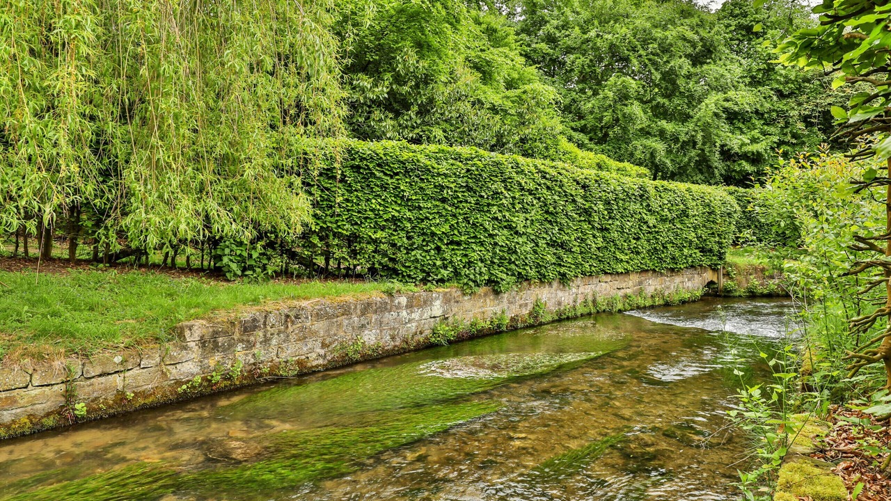 Photo of Others in Thornton Dale