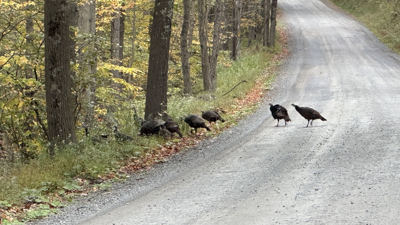 Photo of Others in Sabinsville