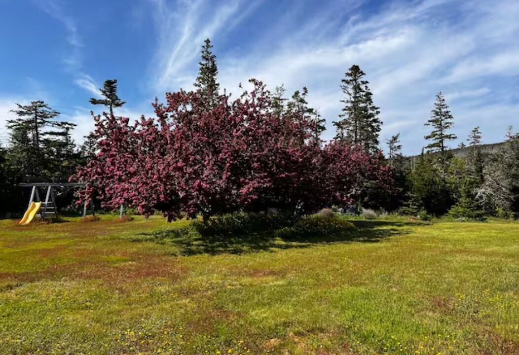Photo of Outdoor in Guysborough County