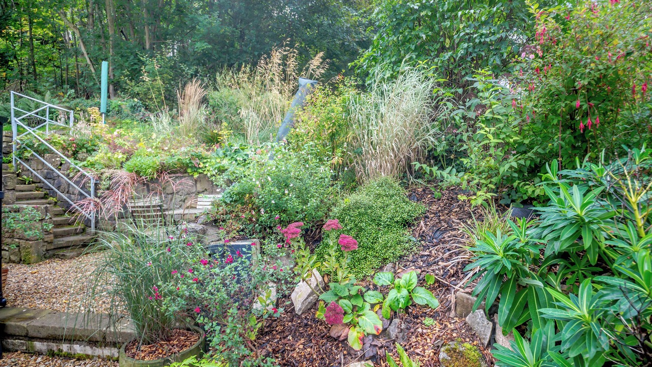 Photo of Outdoor in Rhyd-y-foel