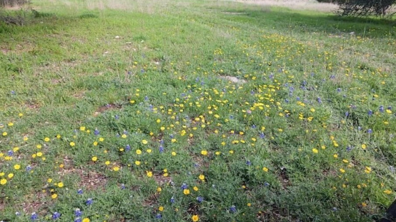 Photo of Outdoor in Kempner