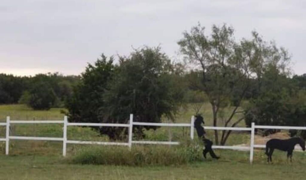 Photo of Outdoor in Kempner