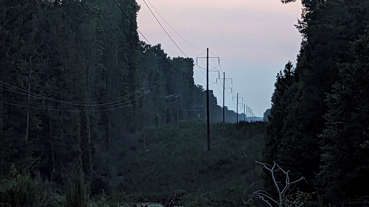 Photo of Others in Cofield