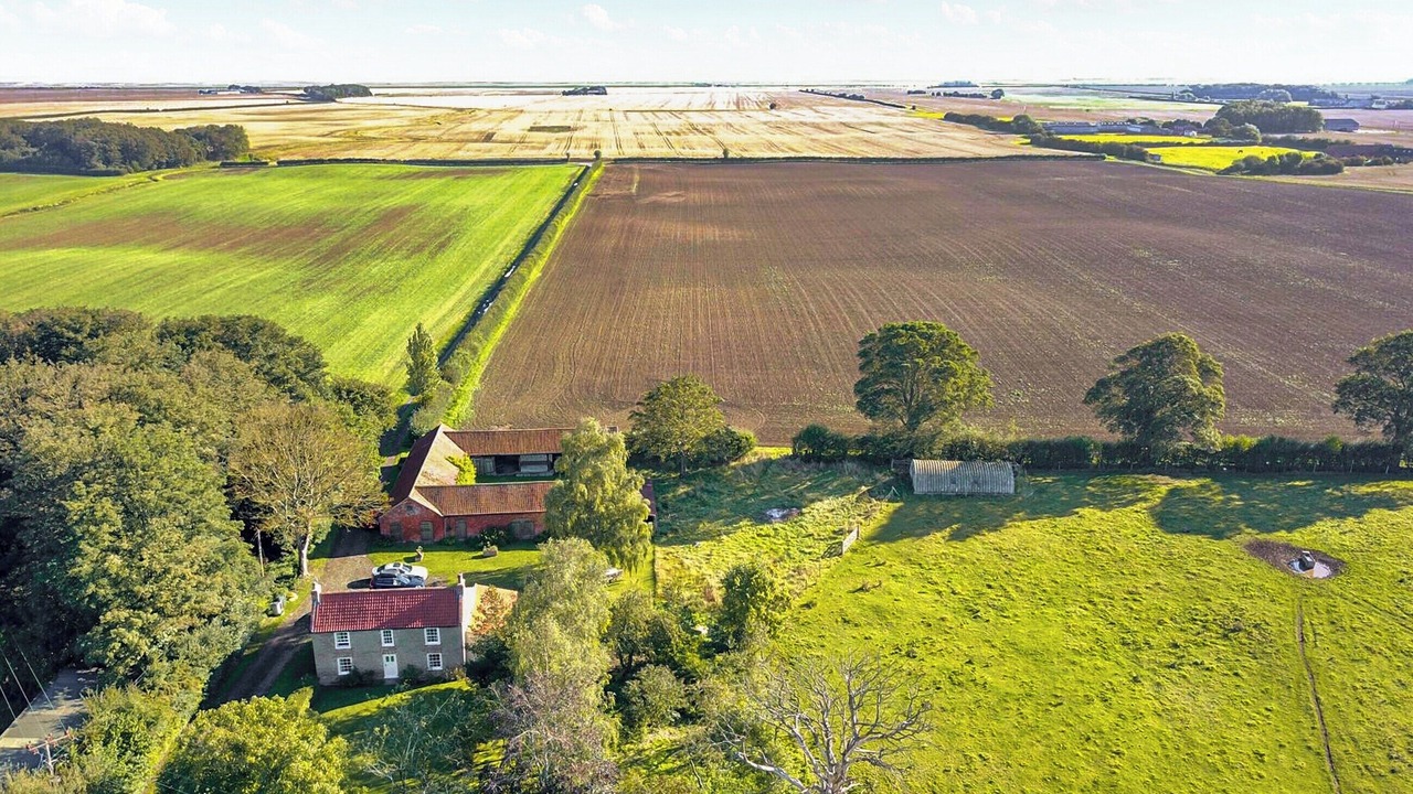 Photo of Others in Grimsby