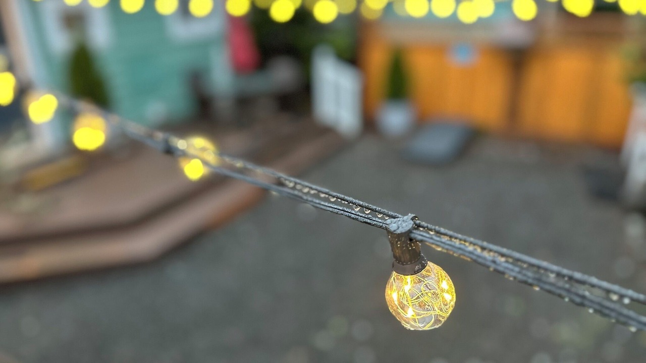 Photo of Others in Seaview