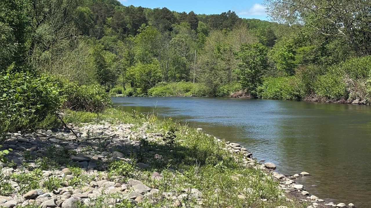 Photo of Others in Livingston Manor