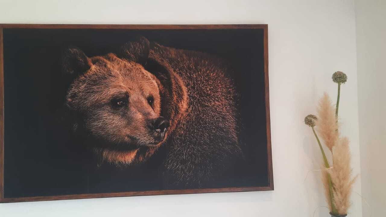 Photo of Others in Thoux