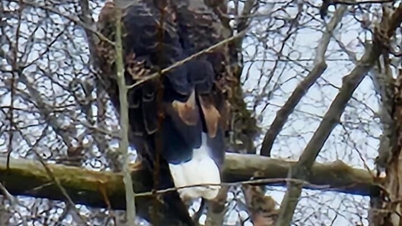 Photo of Others in West Siloam Springs