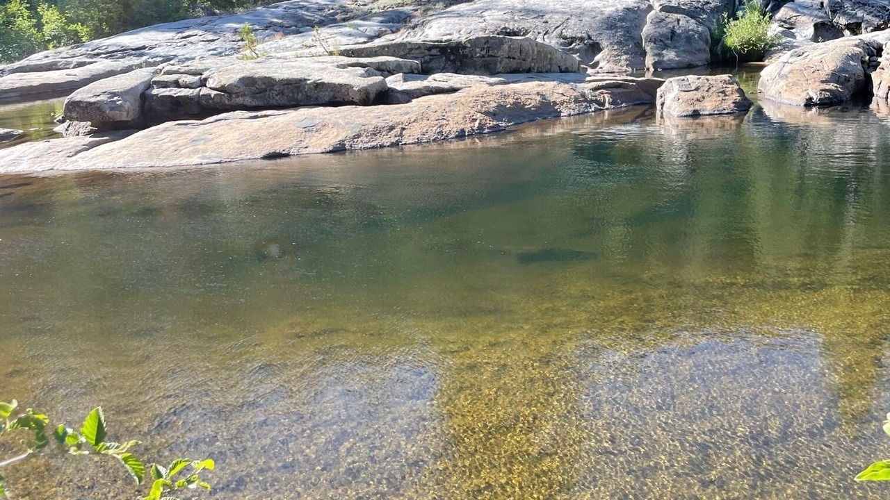 Photo of Others in Tahoe National Forest